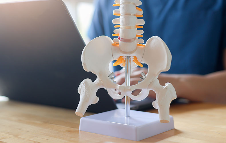 ionline chiropractic continuing education courses